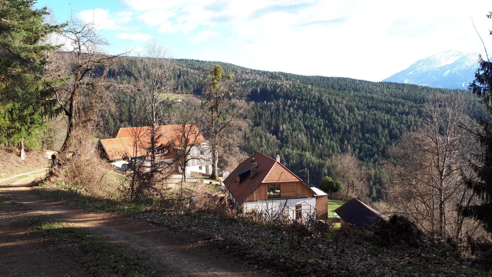 Suedalpen Lofts Apartment Bleiburg Bagian luar foto